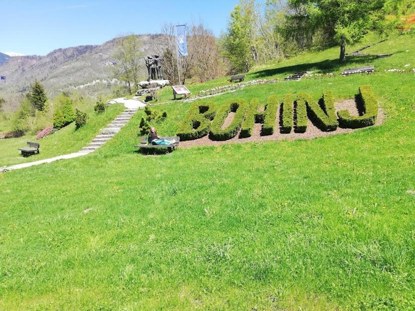 Apartment Mlakar Bohinj Zewnętrze zdjęcie