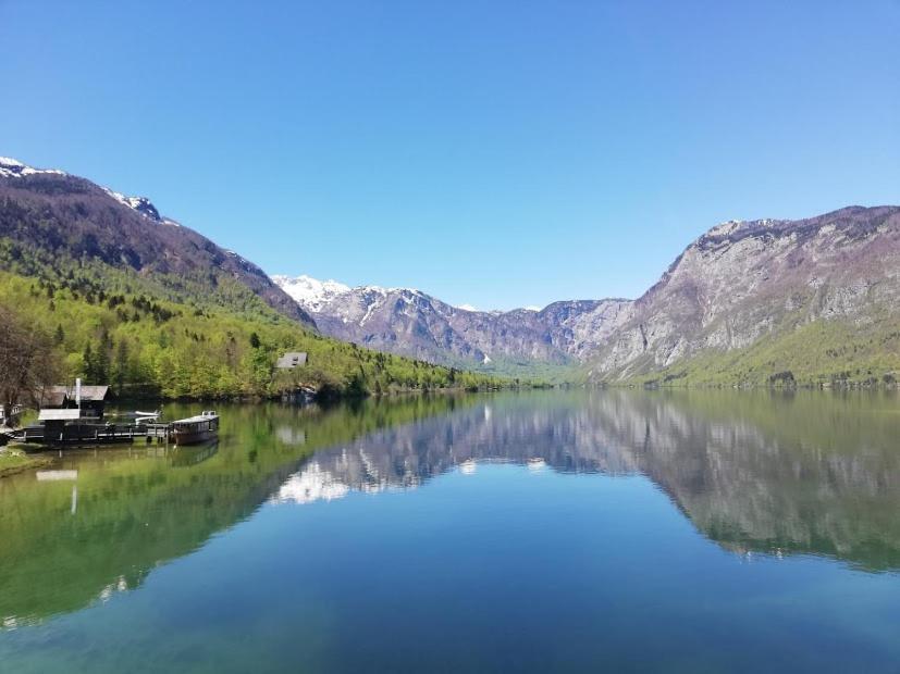 Apartment Mlakar Bohinj Zewnętrze zdjęcie