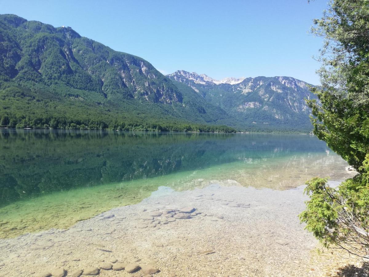 Apartment Mlakar Bohinj Zewnętrze zdjęcie