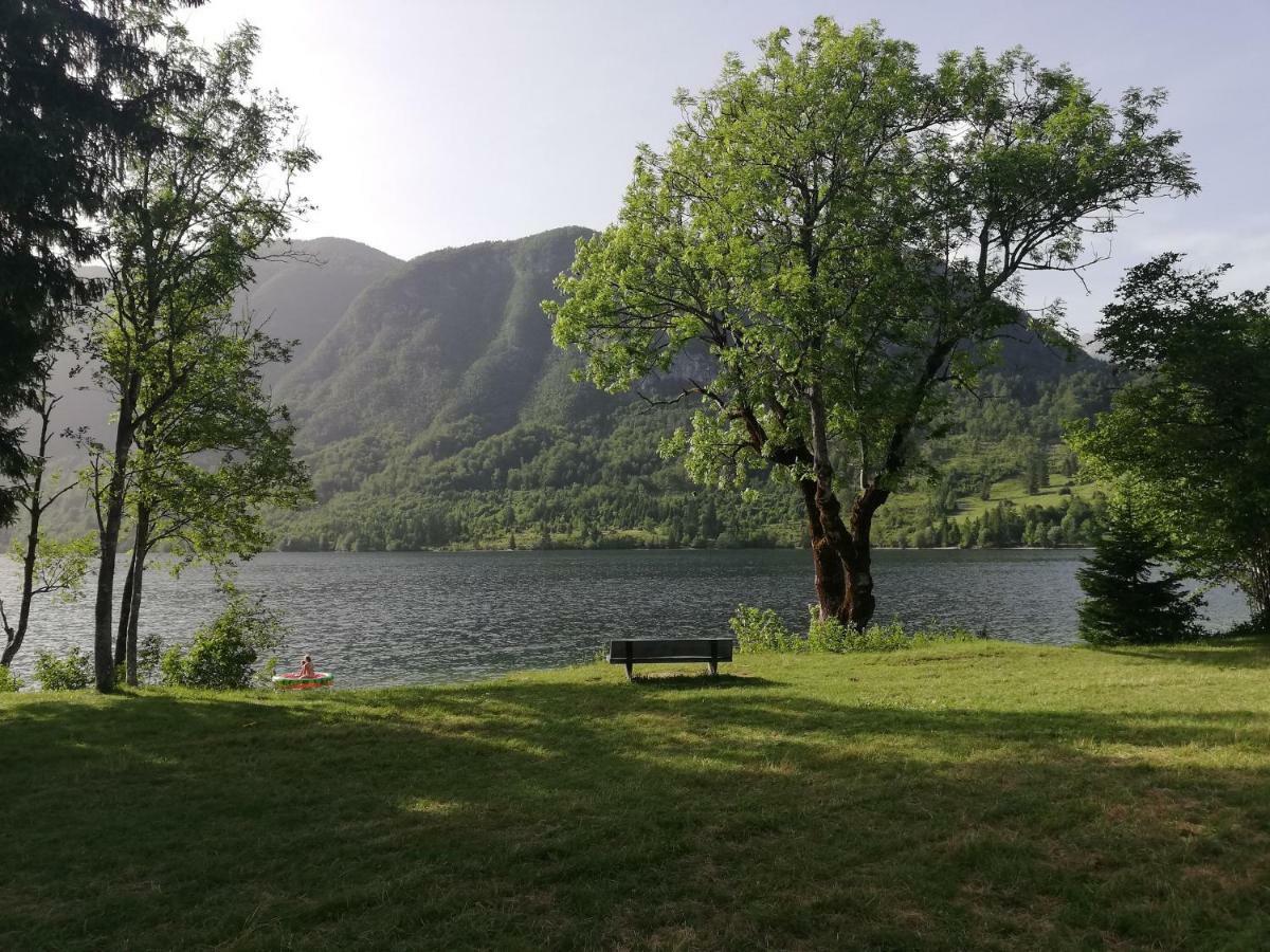 Apartment Mlakar Bohinj Zewnętrze zdjęcie