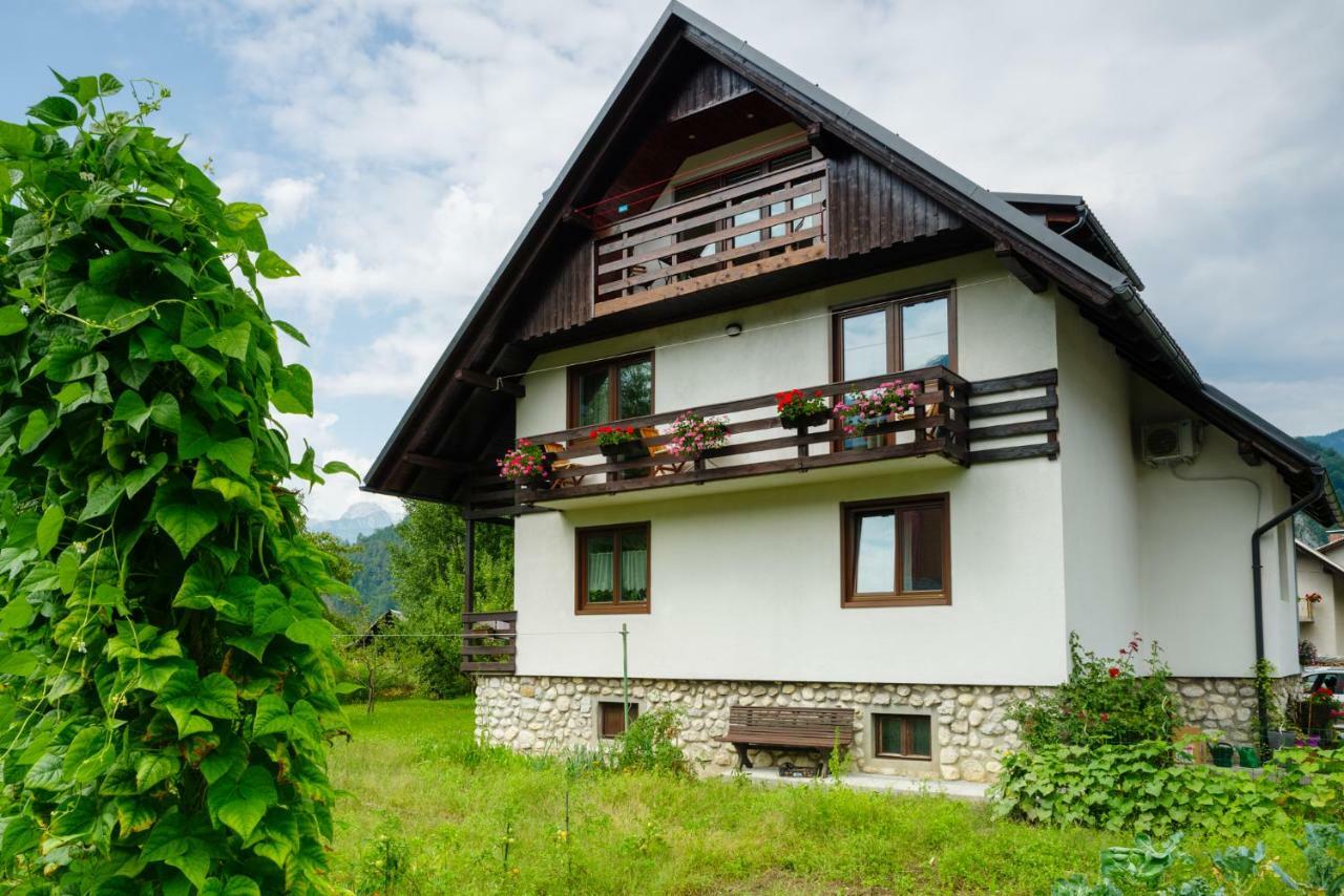 Apartment Mlakar Bohinj Zewnętrze zdjęcie